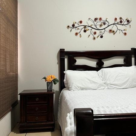 克萨尔特南戈Amplio Apartamento, En Colonia Cerezos, Tercer Nivel公寓 外观 照片
